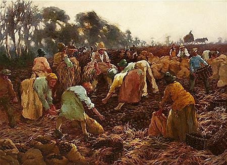 POTATO HARVEST, 1931