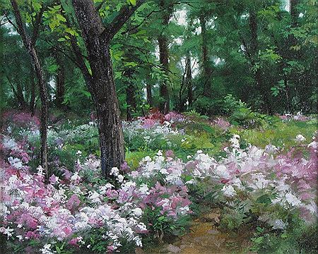 Spring Flowers