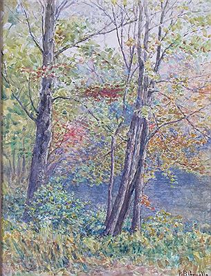 Wooded Water's Edge