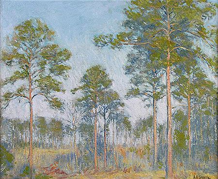 Florida Landscape