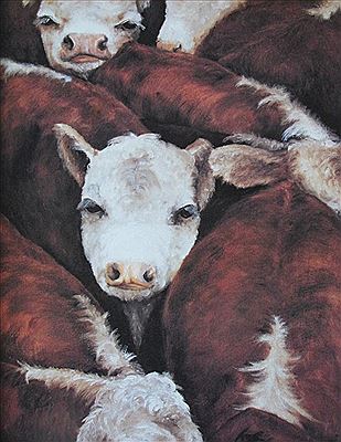 Cowbabies
