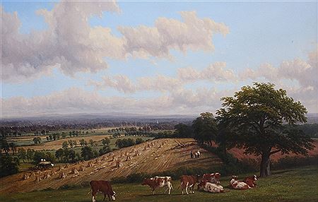 Harvesting near Barford, Warwickshire