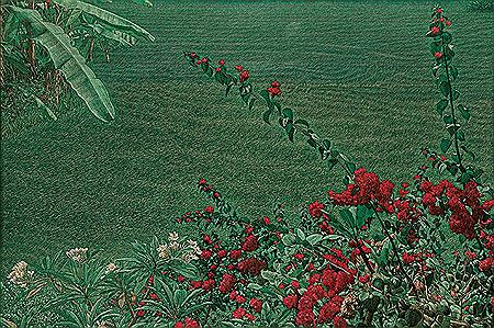 Crimson Joys and Green Delights- Rice Field Series 2019