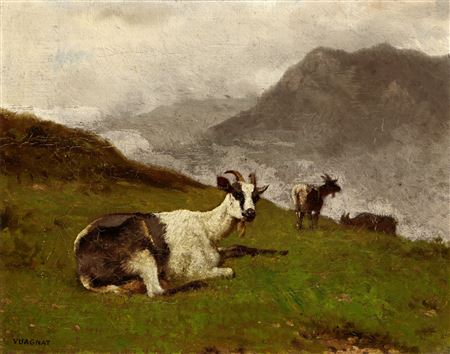 Ziegen auf Bergwiese