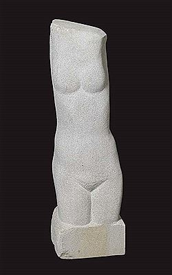 Torso
