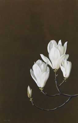 Magnolia Denudata by Paul Osborne Jones - Auction record, sale price, and art valuation. Compare with similar artists and explore comparable artworks.