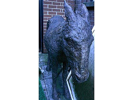 Donkey Edition 2008