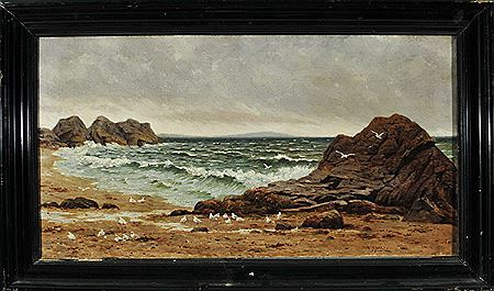 Küstenlandschaft mit Felsen und Möwen bei aufkommendem Unwetter