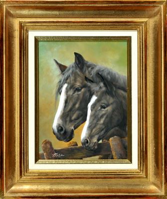 Pferd mit Fohlen am Zaun