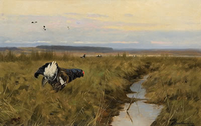 Blackcocks by Christopher Drathmann - Auction record, sale price, and art valuation. Compare with similar artists and explore comparable artworks.