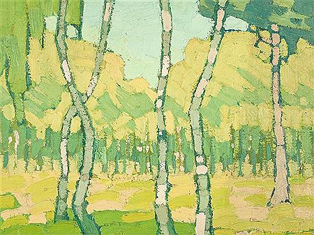Birch Trees