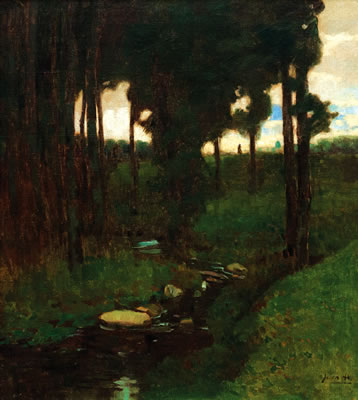 Stream in the woods