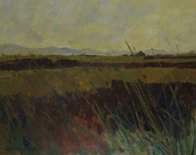 Kerry Landscape