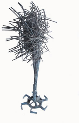 Crown of Thorns