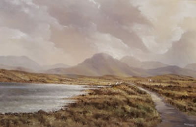 Bertraghboy Bay, Carna, Co Galway