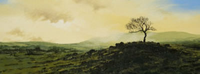 Evening Hillside Study