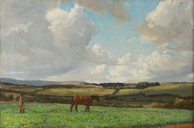 Man Ploughing a Field