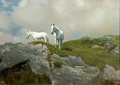Mountain Summit