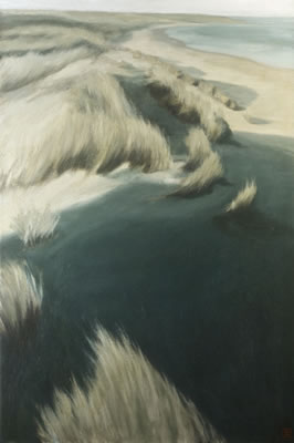 Dunes, Brittas Bay