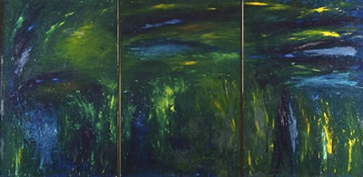 Marshland, Ballyconnell, Sligo
