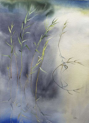 Reeds, Clouds Passing