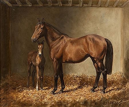 The New Arrival