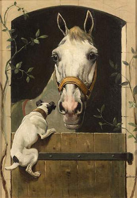 CHEVAL AU BOX