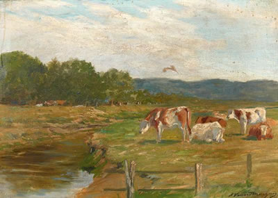 Vaches à l'herbage