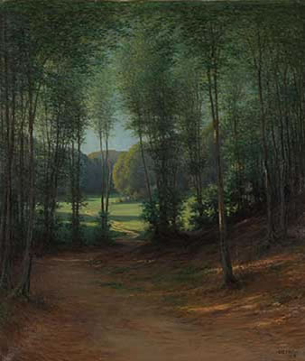 Blick auf sommerliche Waldlichtung
