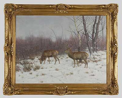 "Rotwild im Winterwald"