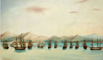 La baie de Navarin