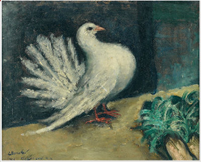 Pigeon paon, 1932