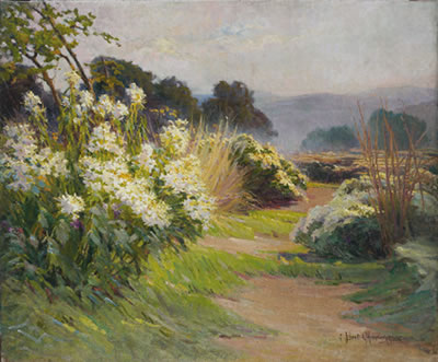 Jardin sauvage