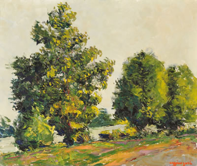 Paysage bord de rivière