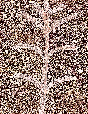 "Alparra Seed Dreaming"