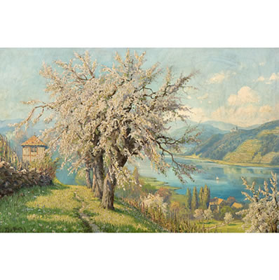 Rheinansicht im Frühling.