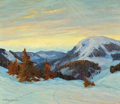 Schwarzwald im Winter.
