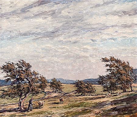 Weather beech trees at Schauinsland with cattle drover