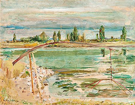 "Lachsgalgen am Rhein"