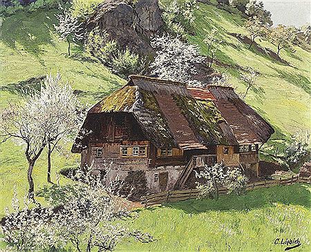 Black Forest house in a summer landscape