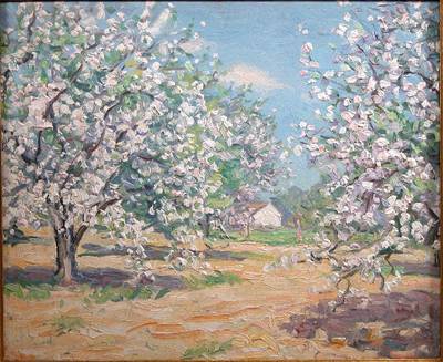 Spring Landscape