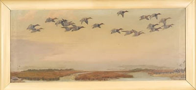 Ducks over Marshlands
