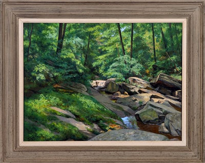 Brook through the Forrest