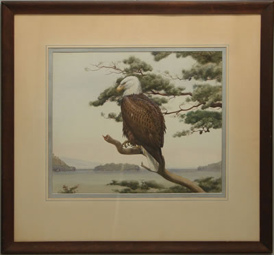 Bald Eagle Overlooking Mount Johnson Island on Susquehanna