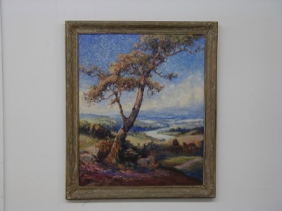 Blue Ridge Sentinel
