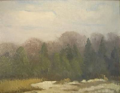Winter Landscape