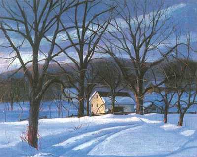 Nocturnal Winter Landscape