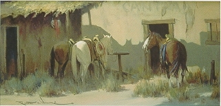 Patient Ponies