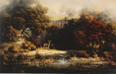 Headwaters of the Guadalupe