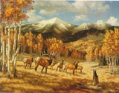 Realm of the Wapiti